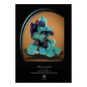AMAZONITE  posters