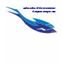 Ambassadors of the Environment El Capitan Canyon Tee Shirt