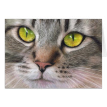 Amber Eyes Cards