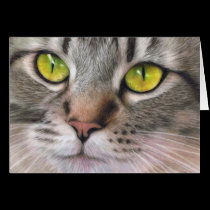 Amber Eyes cards