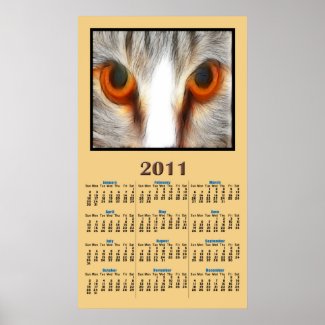 Amber Eyes Single Page 2011 Calendar print