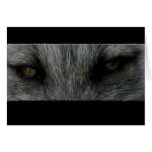 Amber Fox Eyes Greeting Cards