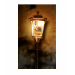 Amber Lamps Shirt