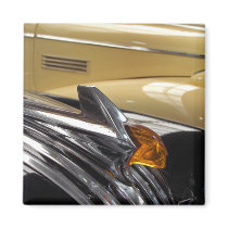Amber magnets