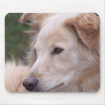 Amber Moon mousepads