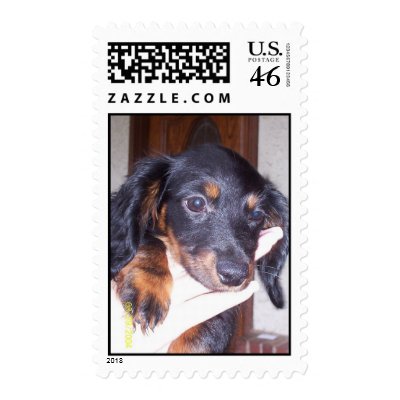 Amber Postage Stamp by Girl4Christ23