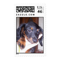 Amber postage