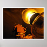 amber posters