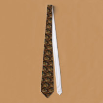 Amber Rainbow ties