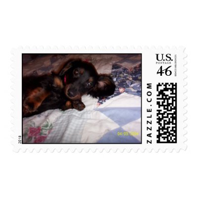 Amber Renee Stamp by Girl4Christ23