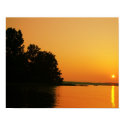 Amber Sky posters by Williamsonkro Amber Sky posters