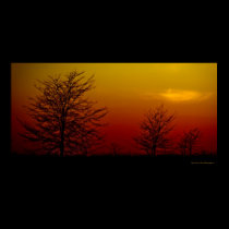 "Amber Sunset" Beautiful Image Art Wall Print posters