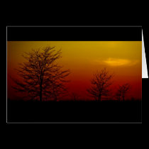 "Amber Sunset" Custom Card Event Wedding Birthday cards