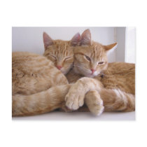 Amber & Topez postcards