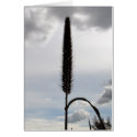 Amber Waves of Grain cards by rosietx1 Amber Waves of Grain cards