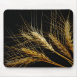 Amber Waves of Grain Wheat Mouse Pads