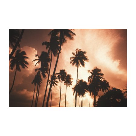 Ambergris Caye, Belize, Central America. 2 wrappedcanvas