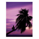 Ambergris Caye, Belize, Central America. Post Cards