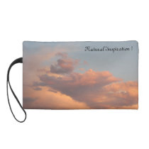 Ambers Natural Inspiration Clutch Purse! bagettes bags