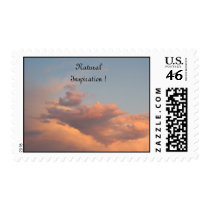 Ambers Natural Inspiration Stamp ! stamps