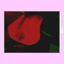 Ambience cards
