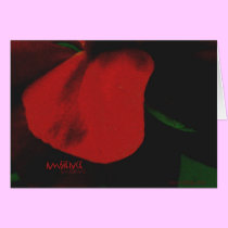 Ambience cards