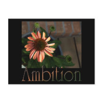 Ambition3 postcards