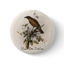 Amblyornis inornatus - Dull-coloured Bower-bird buttons by LisasLair Amblyornis inornatus - Dull-coloured Bower-bird buttons