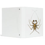 Amblypigi Binder
