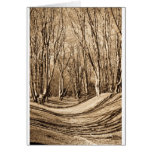 Ambresbury Banks Cards