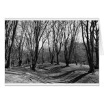 Ambresbury Banks Iron Age fortification Greeting Cards