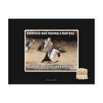 Ambrose was having a bad day postcard