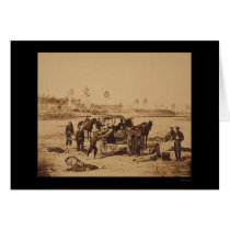 Ambulance Drill near Brandy Station, VA 1864 cards by lc_civilwar Ambulance Drill near Brandy Station, VA 1864 cards