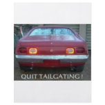 AMC AMX 1974 MUSCLE CARS FULL COLOR FLYER