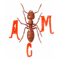 AMC Original Design t-shirts