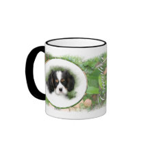Ame a mis caballeros tazas de café