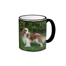 Ame a mis caballeros tazas de café