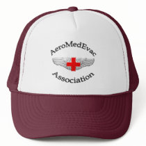 AMEA Logo 2009 version hats
