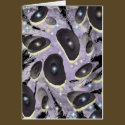 Ameba cards by TheStampStore Ameba cards