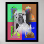 Amelia Earhart Poster