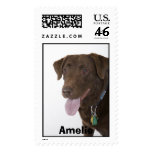 Amelie Stamp