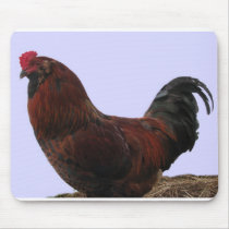 Ameraucana Rooster mousepads by lalagniappe Ameraucana Rooster mousepads