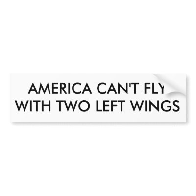 AMERICA CAN'T FLY WITH TWO LEFT WINGS BUMPER STICKERS by johnpop