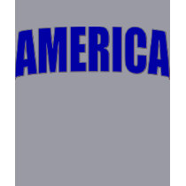 America fitted sweatshirt
