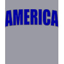 America fitted sweatshirt