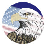 America Forgot 9-11 Stickers