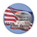 america is wonderfull. magnets