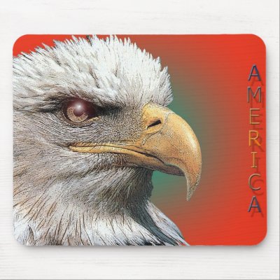 America... Mouse Mat by REDINARD