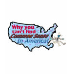 AMERICA NO COMMON SENSE DK t-shirts
