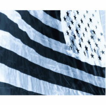 AMERICA photo sculptures